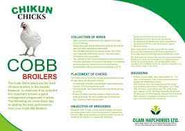 Olam Nigeria Limited